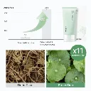 4.webp